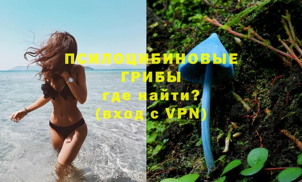 бошки Михайлов