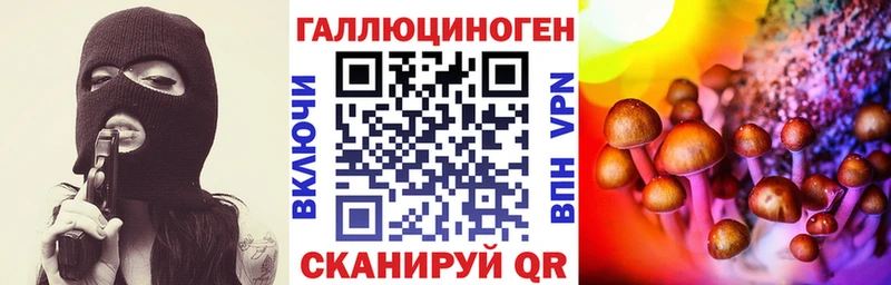 ссылка на мегу сайт  Новая Ляля  Псилоцибиновые грибы Psilocybine cubensis  где продают наркотики 